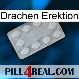 Dragon Erection 16